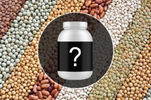 Plant Based Protein Powder,vegan protein powder